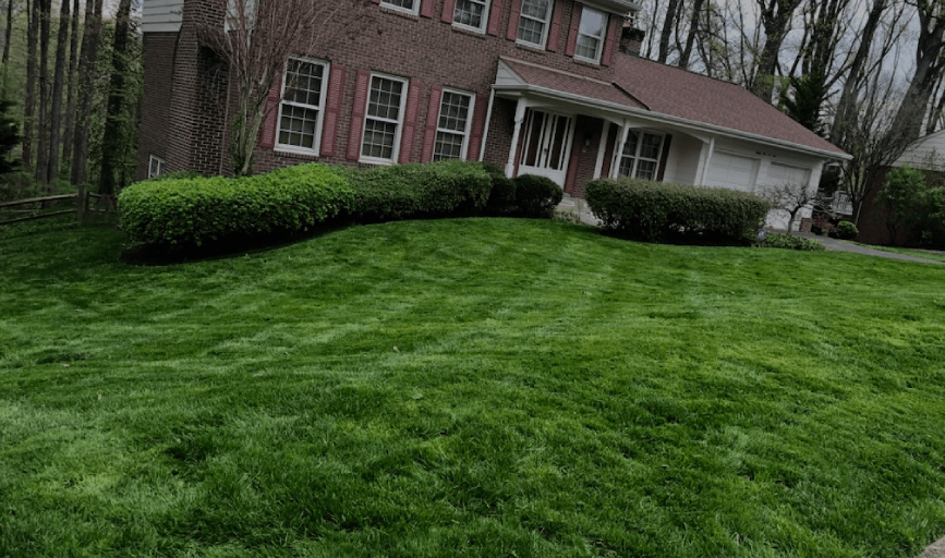 Rodriguez Tree Service