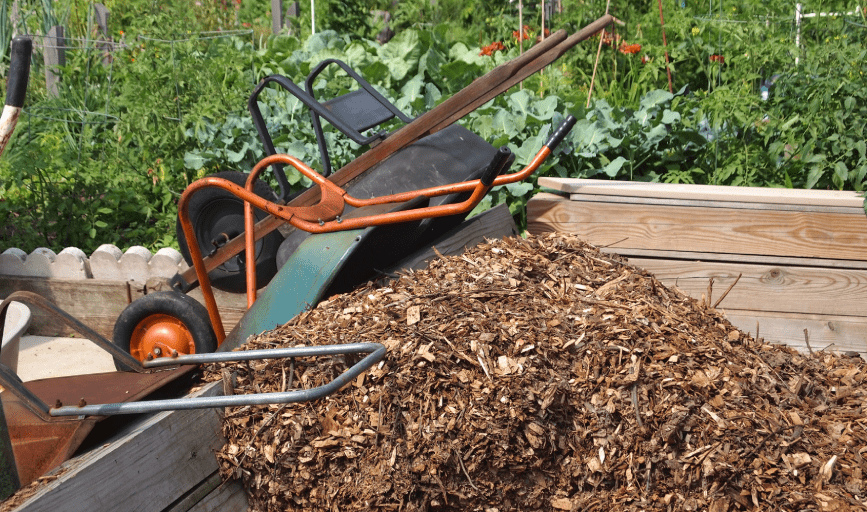 Rodriguez Tree Service