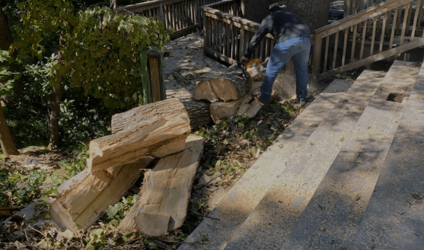 Rodriguez Tree Service